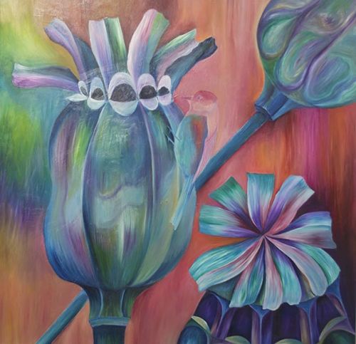 Poppy Heads